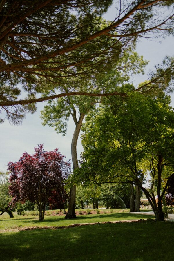 parc chateau du bost