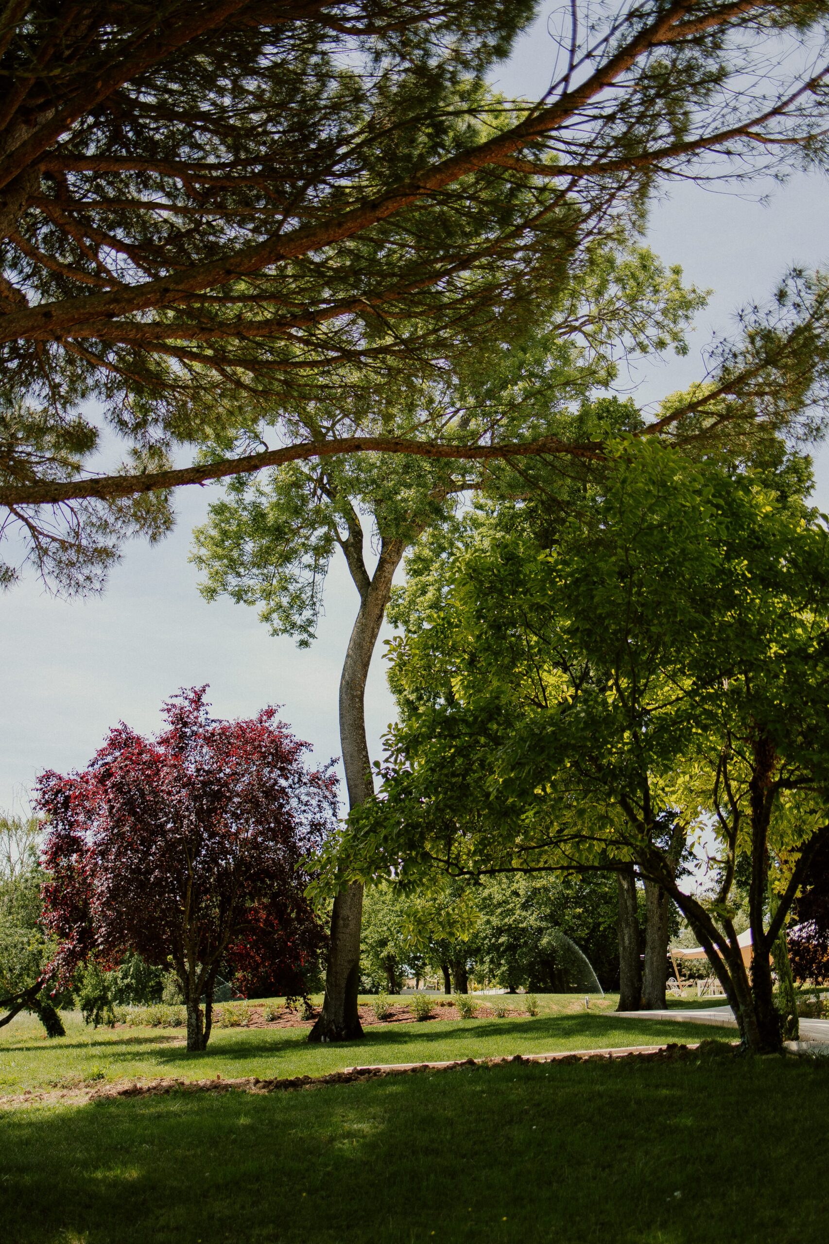 parc chateau du bost